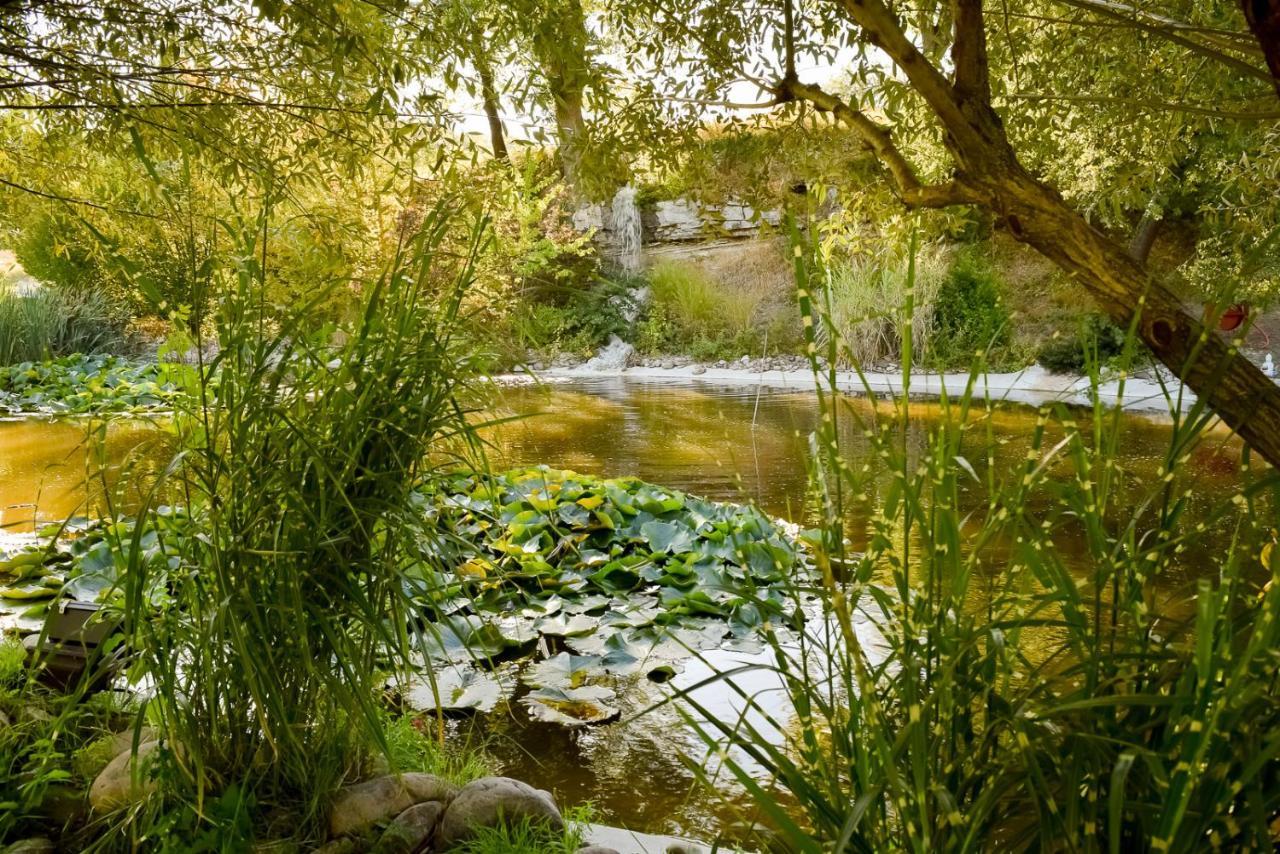 La Campagne St Lazare - Restaurant Chambres D'Hotes Piscine & Spa Forcalquier Exterior foto